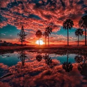 Meet your Posher, Angelica